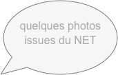 
quelques photos
issues du NET
