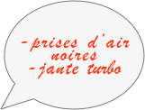 
-prises d’air noires
-jante turbo